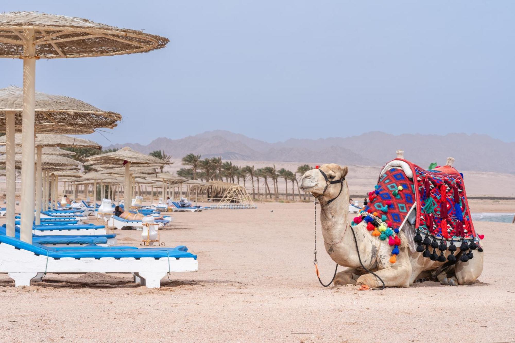 Faraana Height Aqua Park Resort Sharm el-Sheikh Luaran gambar